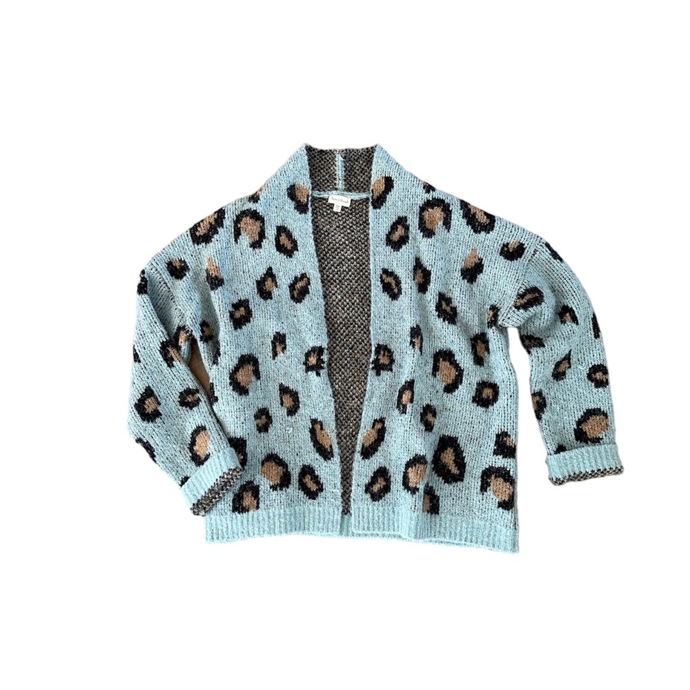 Cozy Blue & Brown Cardigan